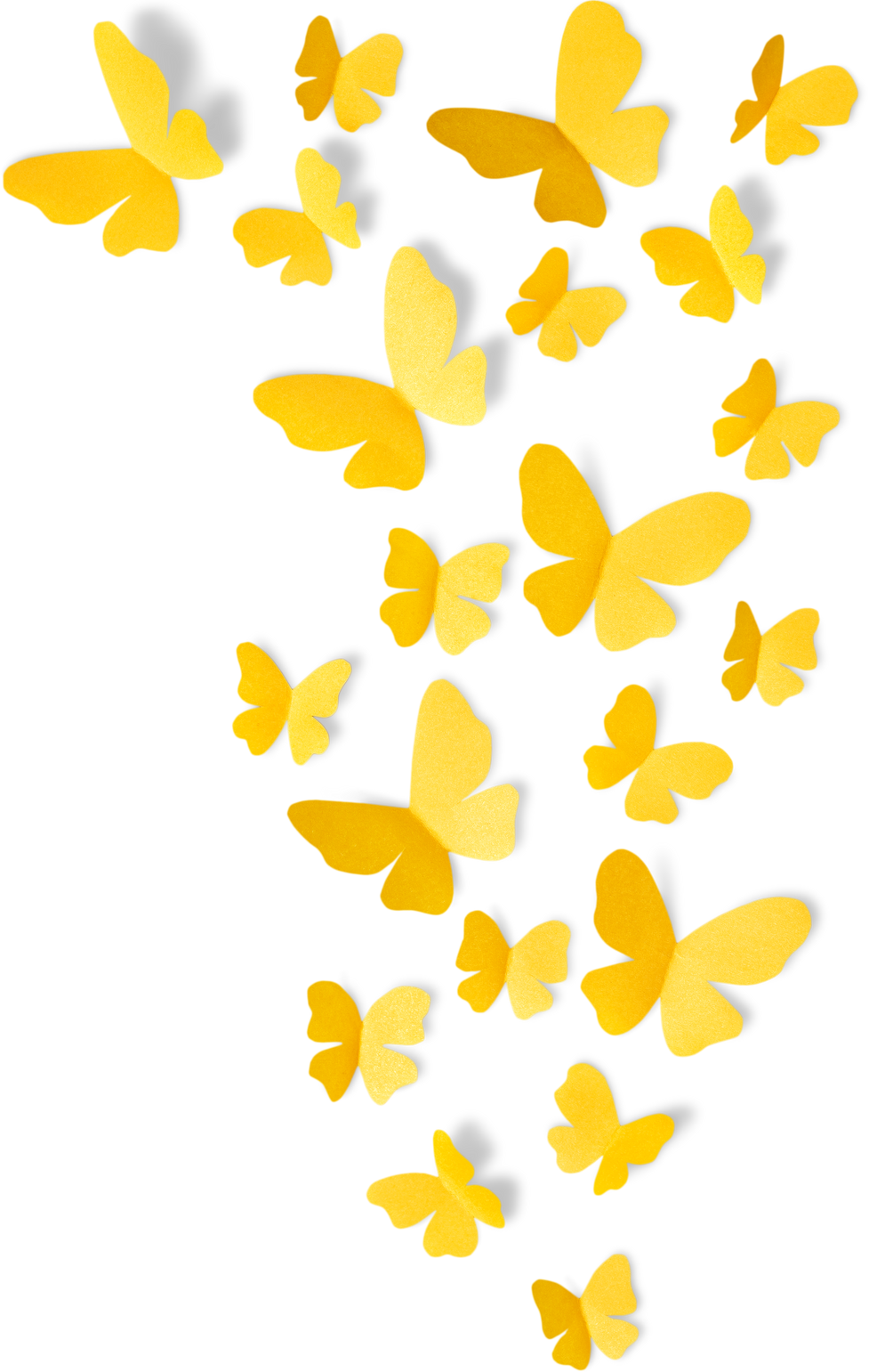 Pretty Yellow Butterflies 